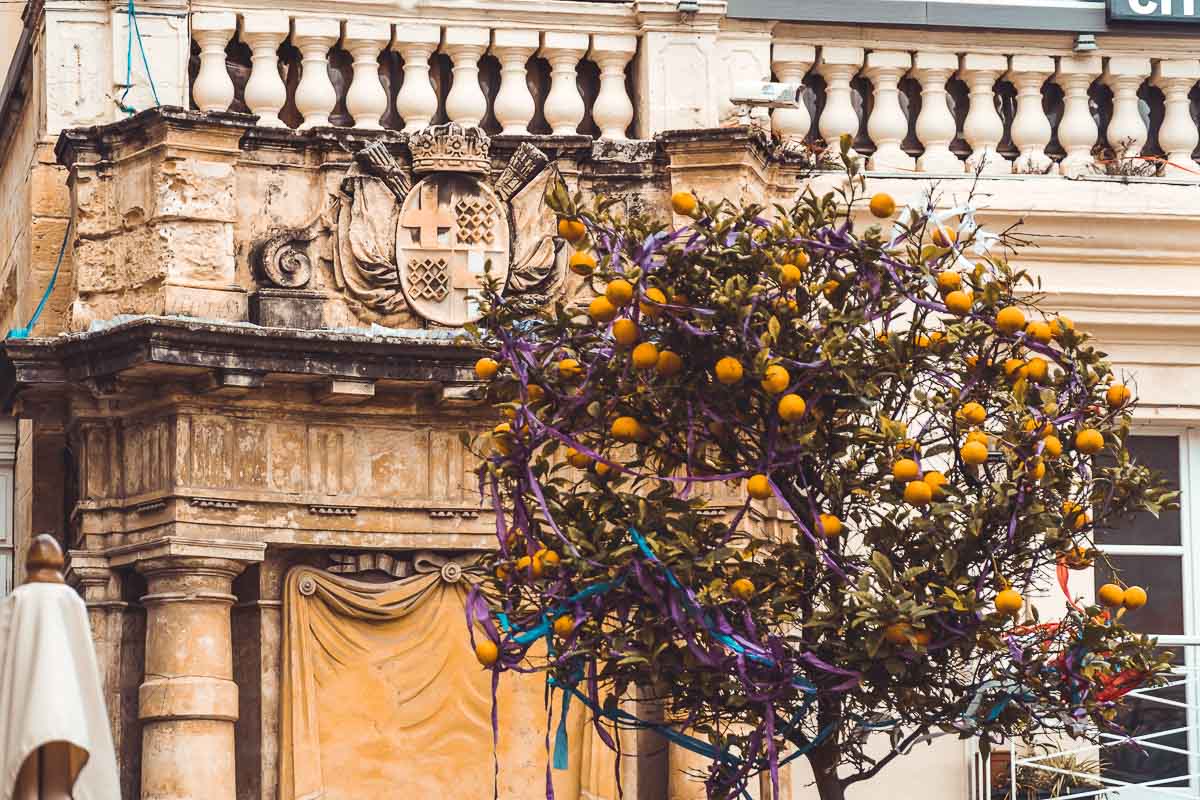 Orangenbaum Valletta Malta