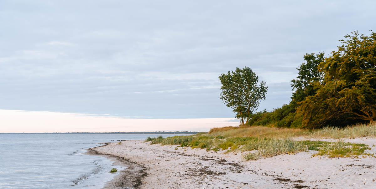 Strand bei Marielyst