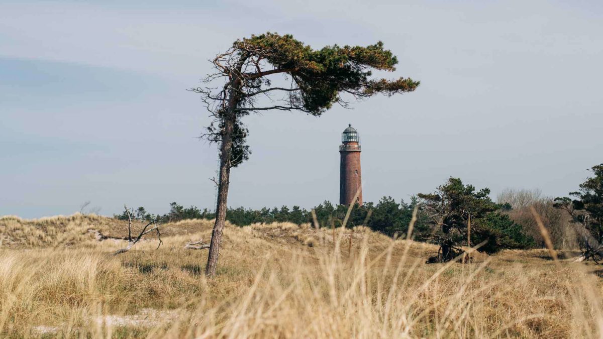 Beste Fotospots auf Fischland Darss Zingst