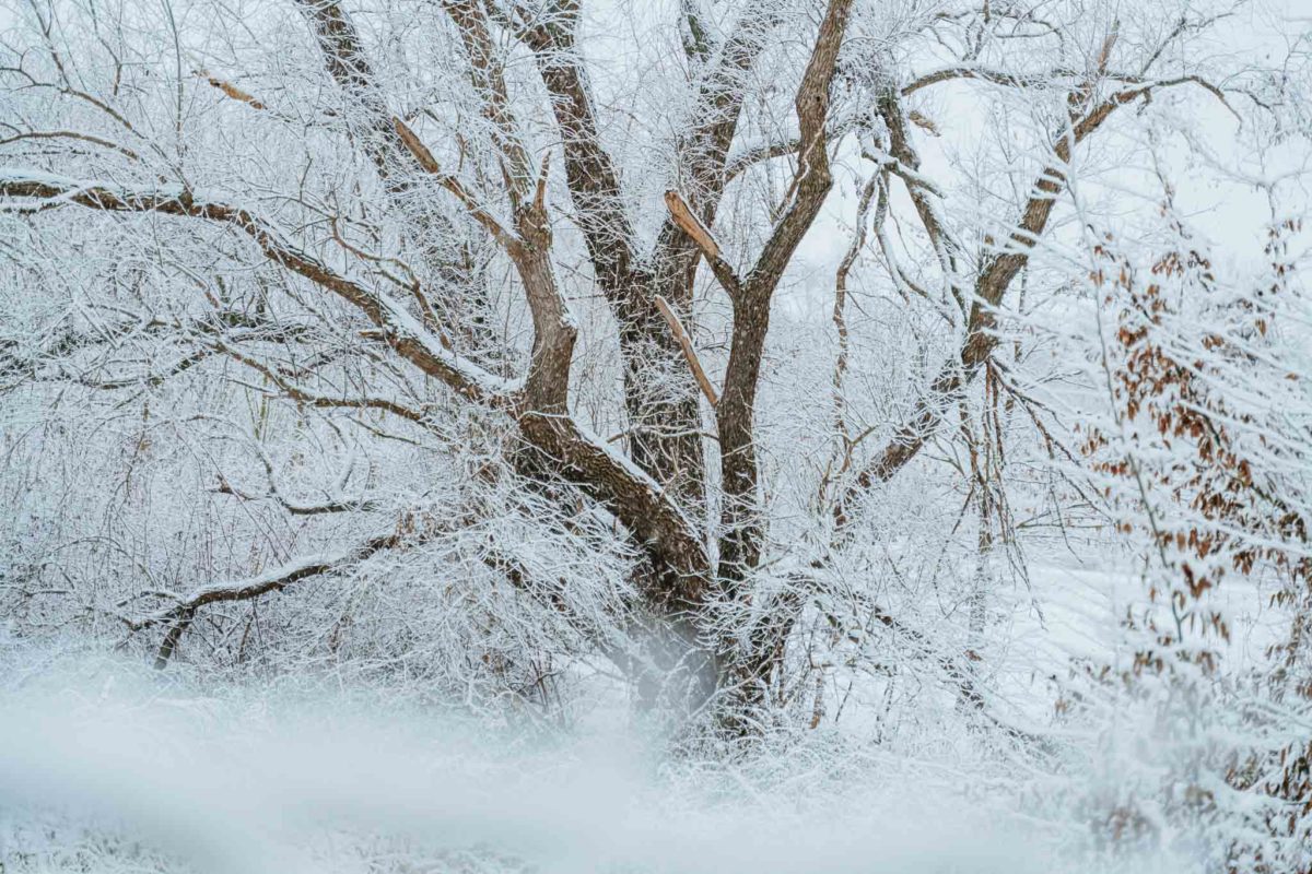 Fotografieren-im-schnee